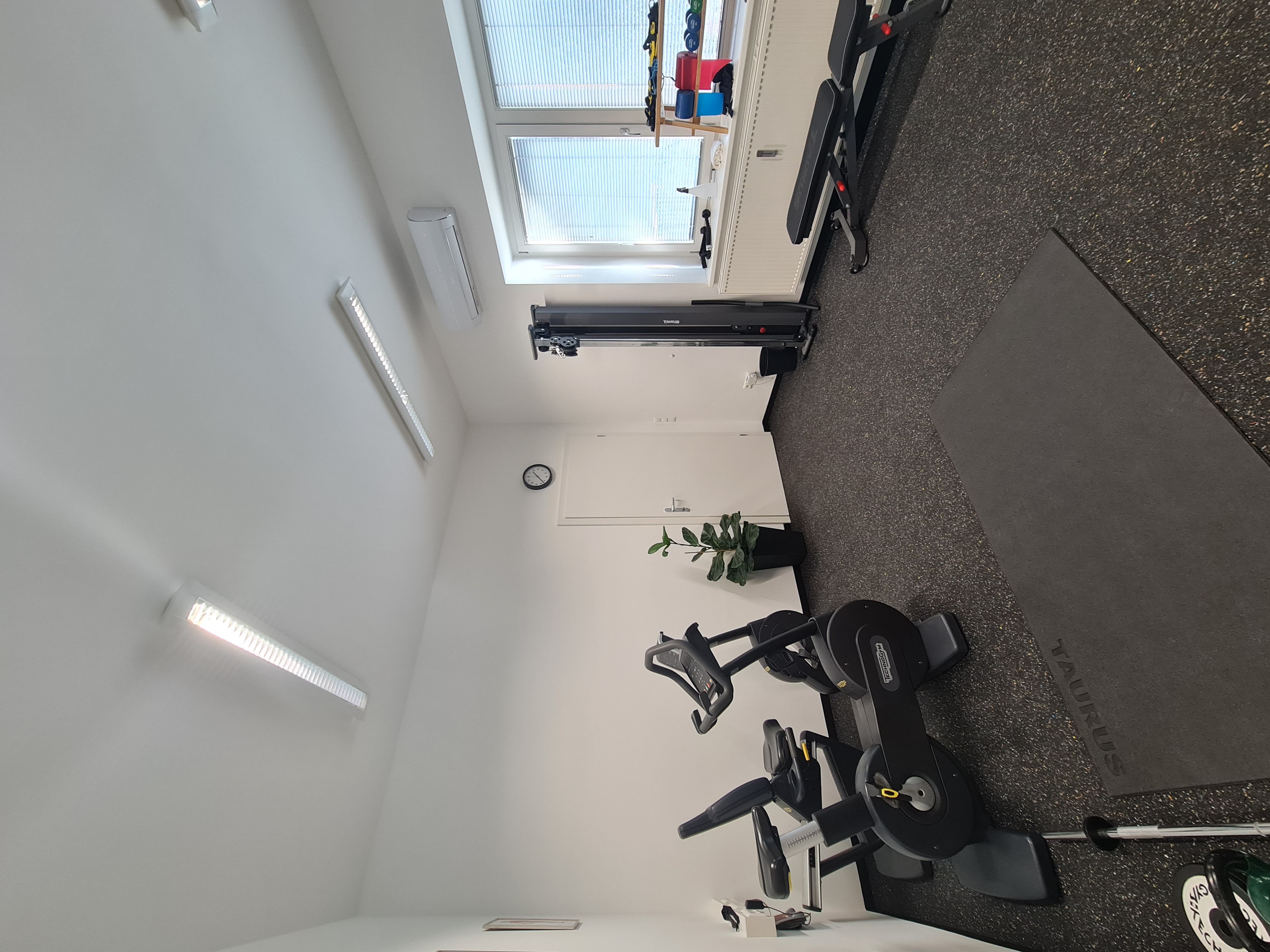 A small, well-lit home gym featuring an exercise bike, weight bench, and natural light.